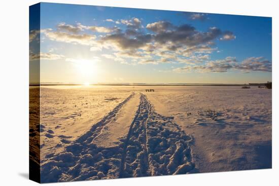 Baltic Sea, Winter-Catharina Lux-Premier Image Canvas