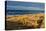 Baltic Sea-Catharina Lux-Premier Image Canvas