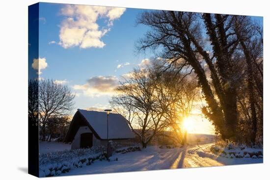 Baltic, Snowy Landscape, Ahrenshoop, Cemetery-Catharina Lux-Premier Image Canvas