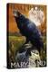 Baltimore, Maryland - Raven and Skull-Lantern Press-Stretched Canvas
