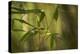 Bamboo Afternoon XI-Rita Crane-Premier Image Canvas