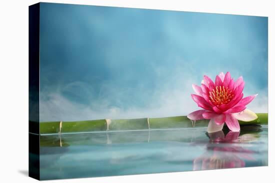 Bamboo and Water Lily Reflected in a Serenity Pool-Liang Zhang-Premier Image Canvas