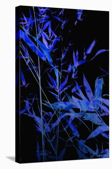 Bamboo at Night II-Karyn Millet-Premier Image Canvas