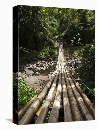 Bamboo Bridge at Dark View Falls, St. Vincent and the Grenadines, Windward Islands-Michael DeFreitas-Premier Image Canvas