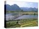 Bamboo Bridge, Vang Vieng, Laos, Indochina, Southeast Asia-Jane Sweeney-Premier Image Canvas