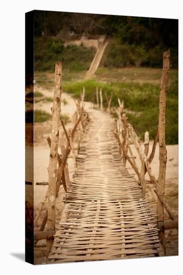 Bamboo Bridge-Erin Berzel-Premier Image Canvas