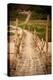 Bamboo Bridge-Erin Berzel-Premier Image Canvas