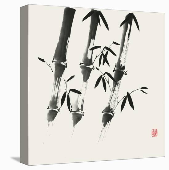 Bamboo Collection I-Nan Rae-Stretched Canvas