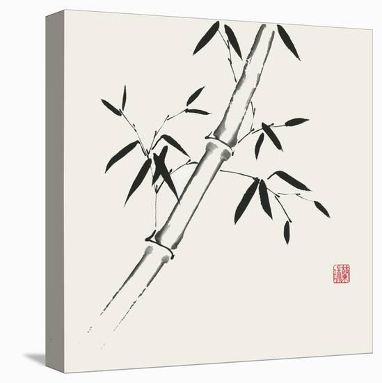 Bamboo Collection III-Nan Rae-Stretched Canvas