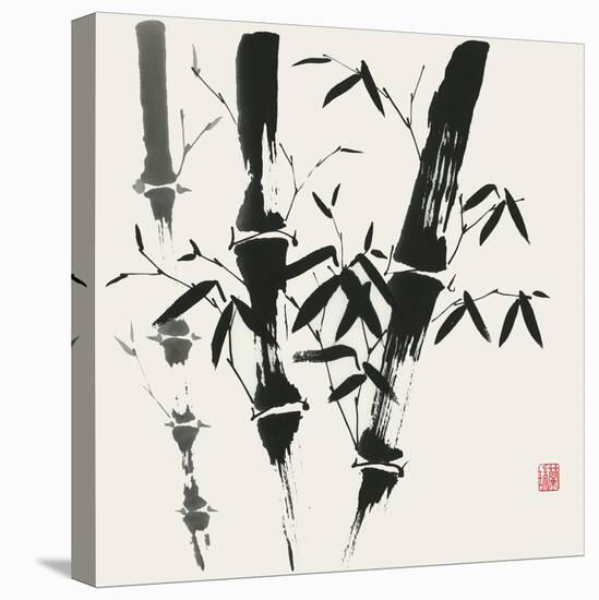 Bamboo Collection VI-Nan Rae-Stretched Canvas