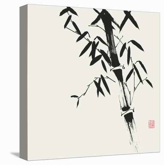 Bamboo Collection VIII-Nan Rae-Stretched Canvas