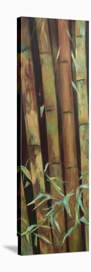 Bamboo Finale I-Suzanne Wilkins-Stretched Canvas