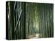 Bamboo Forest, Ginkakuji Temple, Kyoto, Japan-null-Premier Image Canvas