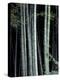 Bamboo Forest, Kyoto, Japan-Dave Bartruff-Premier Image Canvas