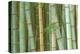 Bamboo Forest, Kyoto, Japan-Rob Tilley-Premier Image Canvas