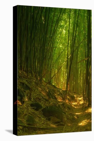 Bamboo Forest, Maui-Vincent James-Premier Image Canvas