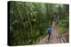 Bamboo Forest, Sichuan Province, China, Asia-Michael Snell-Premier Image Canvas