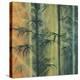 Bamboo Groove II-Kate Ruff-Stretched Canvas