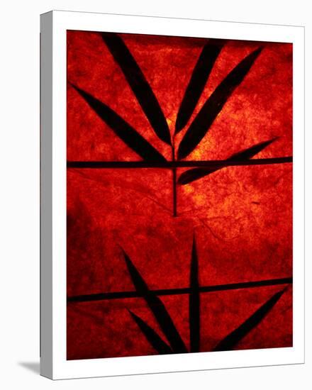Bamboo Leaves-ziva santop-Stretched Canvas