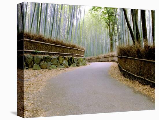 Bamboo Line, Kyoto, Japan-Shin Terada-Premier Image Canvas