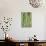Bamboo (Phyllostachys Sp.)-Johnny Greig-Premier Image Canvas displayed on a wall