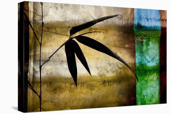 Bamboo Shade II-Christine Zalewski-Stretched Canvas