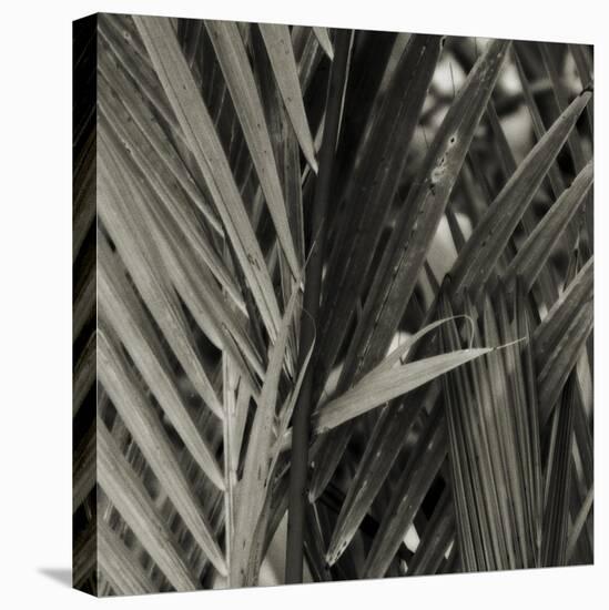 Bamboo Study I-Tang Ling-Premier Image Canvas