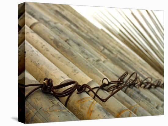 Bamboo Tied Together-null-Premier Image Canvas