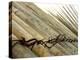 Bamboo Tied Together-null-Premier Image Canvas