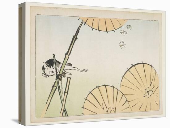 Bamboo, Umbrellas, a Cat and Butterflies, C. 1877-Shibata Zeshin-Premier Image Canvas