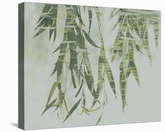 Bamboo Verde-Tania Bello-Stretched Canvas