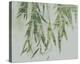 Bamboo Verde-Tania Bello-Stretched Canvas