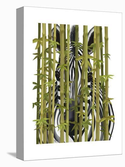 Bamboo Zebra-Fab Funky-Stretched Canvas