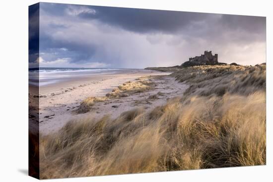 Bamburgh Castle and sand dunes, Northumberland, UK-Ross Hoddinott-Premier Image Canvas