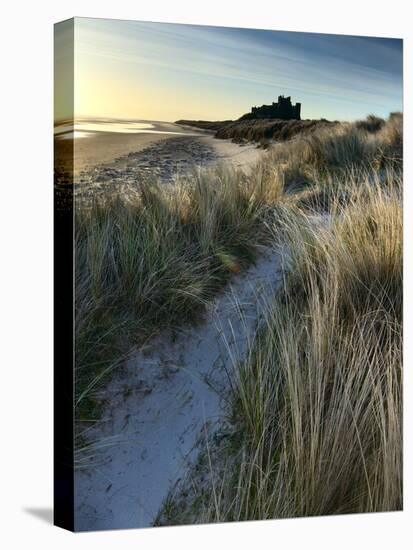 Bamburgh Dunes-Doug Chinnery-Premier Image Canvas