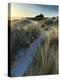 Bamburgh Dunes-Doug Chinnery-Premier Image Canvas