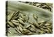 Bambusa Arundinacea (Bamboo) - Seeds-Paul Starosta-Premier Image Canvas