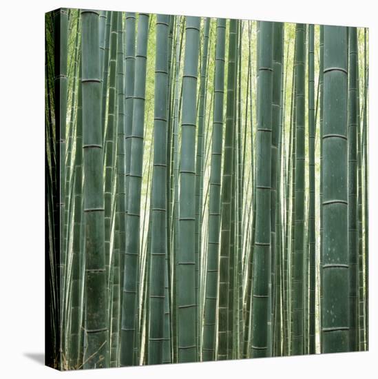 Bamoo Forest in Kyoto-Micha Pawlitzki-Premier Image Canvas