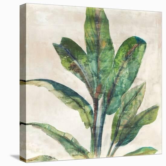 Banana Leaf I-Jacob Q-Stretched Canvas