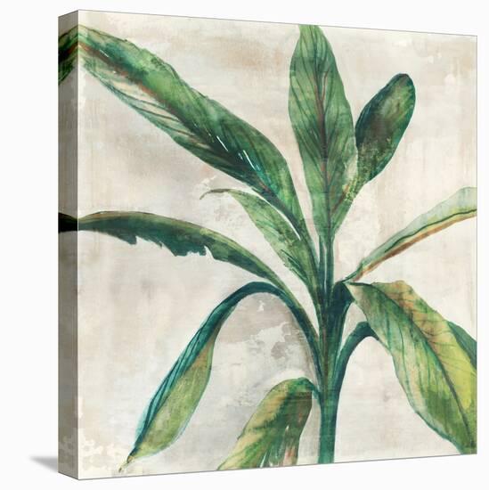 Banana Leaf II-Jacob Q-Stretched Canvas