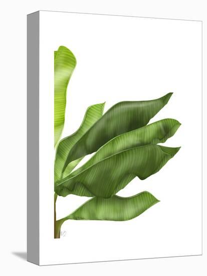 Banana Leaves 1, Green on White-Fab Funky-Stretched Canvas