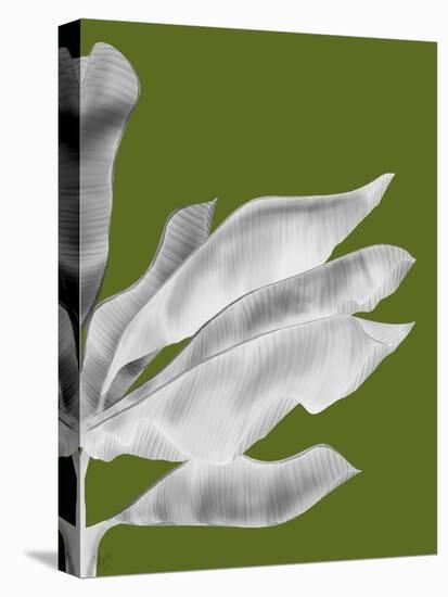 Banana Leaves 1, White On Green-Fab Funky-Stretched Canvas