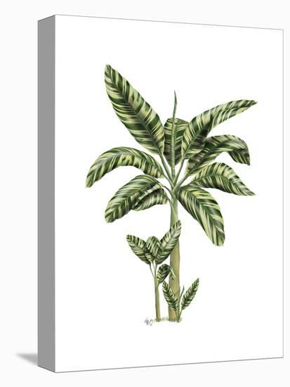 Banana Tree 2-Fab Funky-Stretched Canvas