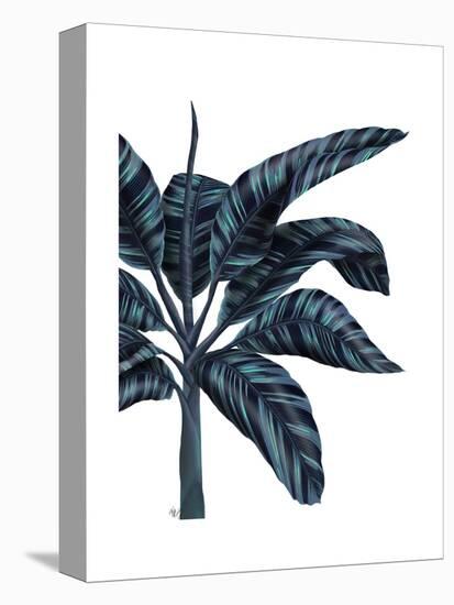 Banana Tree 3, Blue-Fab Funky-Stretched Canvas