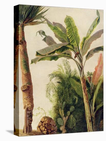 Banana Tree, C.1865-Frederic Edwin Church-Premier Image Canvas