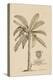 Banana Tree-Porter Design-Premier Image Canvas