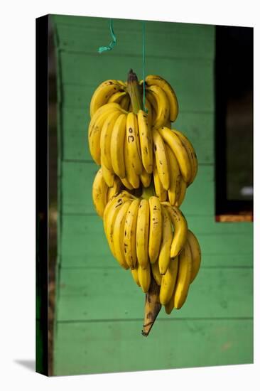 Bananas at a Fruit Stand in Dominican Republic-Paul Souders-Premier Image Canvas