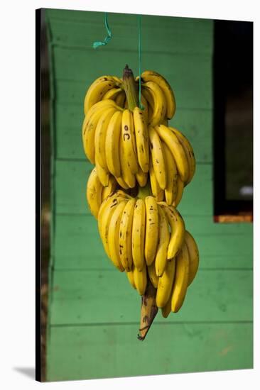 Bananas at a Fruit Stand in Dominican Republic-Paul Souders-Stretched Canvas