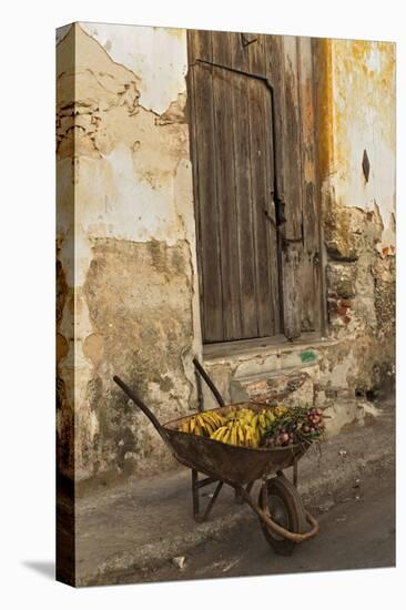 Bananas in Wheelbarrow, Havana, Cuba-Adam Jones-Premier Image Canvas