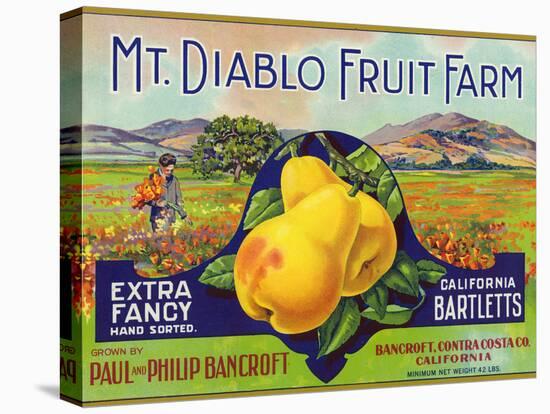 Bancroft, California, Mt. Diablo Fruit Farm Brand Pear Label-Lantern Press-Stretched Canvas